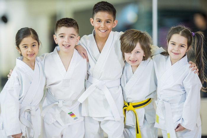 The Start of Your Little One's Martial Arts Journey!